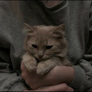 Meet your Posher, Lucy